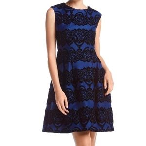 Navy Cocktail Dress With Black Velvet Burnout